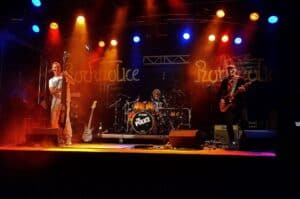 Artist Roster - Tribute Bands & mehr... 214