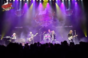 Artist Roster - Tribute Bands & mehr... 217